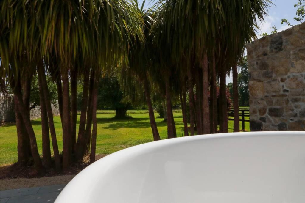 Vila 5* Self Catering Nenagh Exteriér fotografie